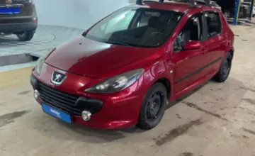 Peugeot 307 2006 года за 2 500 000 тг. в Караганда фото 1