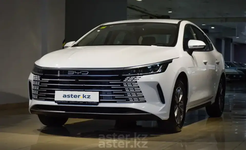 2025 BYD Destroyer 05