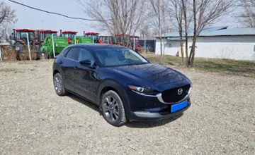 Mazda CX-30 2021 года за 10 790 000 тг. в Талдыкорган фото 3