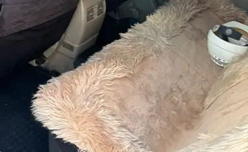 Toyota Camry 2002 года за 5 000 000 тг. в Астана