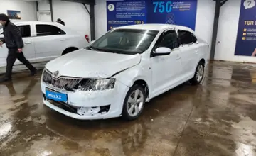 Skoda Rapid 2014 года за 4 500 000 тг. в Астана фото 1