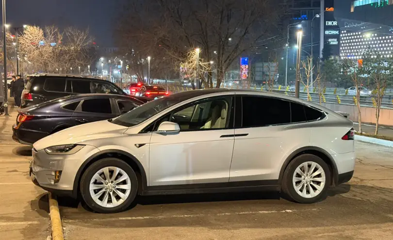 Tesla Model X 2018 года за 25 000 000 тг. в Алматы