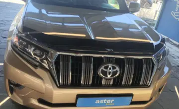 Toyota Land Cruiser Prado 2010 года за 13 500 000 тг. в Талдыкорган фото 2