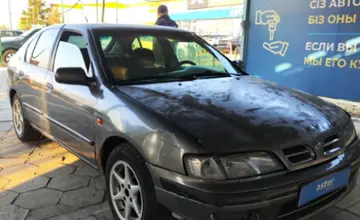 Nissan Primera 1998 года за 1 600 000 тг. в Талдыкорган фото 3