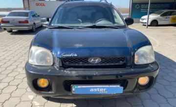 Hyundai Santa Fe 2001 года за 3 700 000 тг. в Караганда фото 2