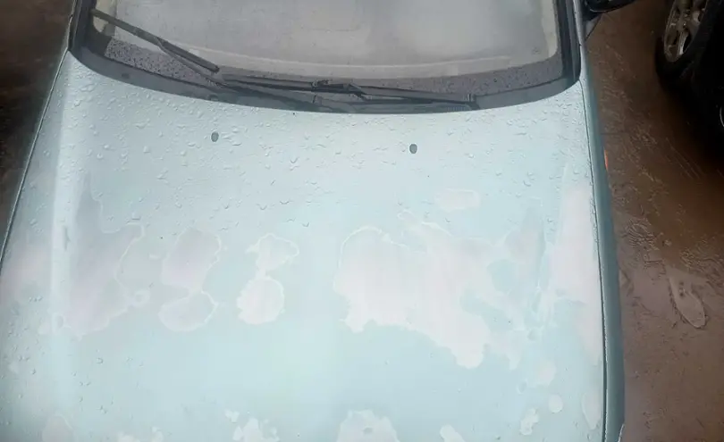 Nissan Almera 2001 года за 1 100 000 тг. в Павлодар фото 3