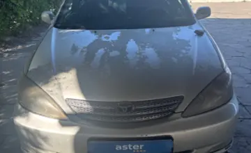 Toyota Camry 2003 года за 3 500 000 тг. в Талдыкорган фото 2