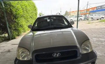 Hyundai Santa Fe 2003 года за 4 500 000 тг. в Талдыкорган фото 2