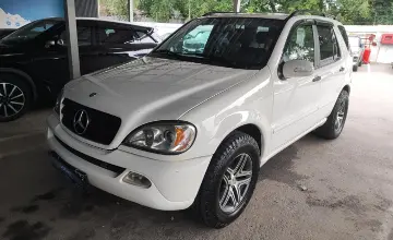 Mercedes-Benz M-Класс 2003 года за 5 000 000 тг. в Алматы фото 1