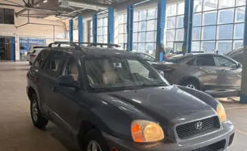 Hyundai Santa Fe 2003 года за 3 500 000 тг. в Караганда фото 3