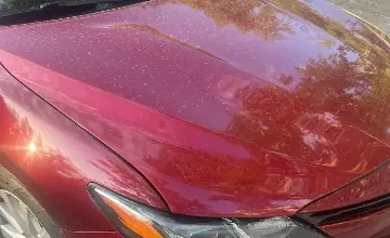 Toyota Camry 2020 года за 10 000 000 тг. в Экибастуз фото 3