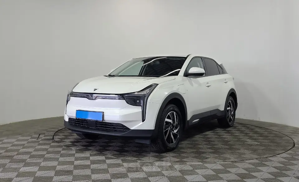 2022 BYD D1