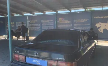 Toyota Camry 1994 года за 2 000 000 тг. в Талдыкорган