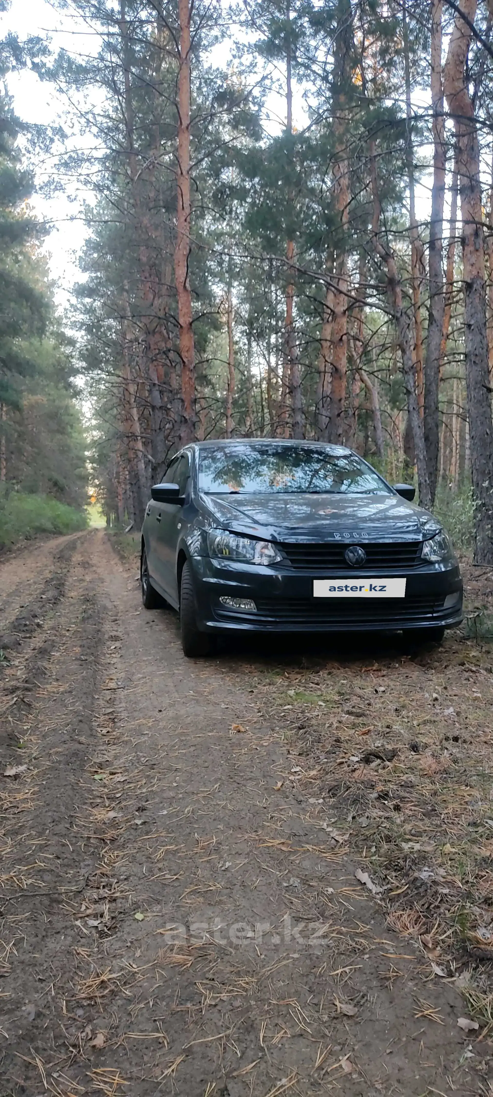 Volkswagen Polo 2016