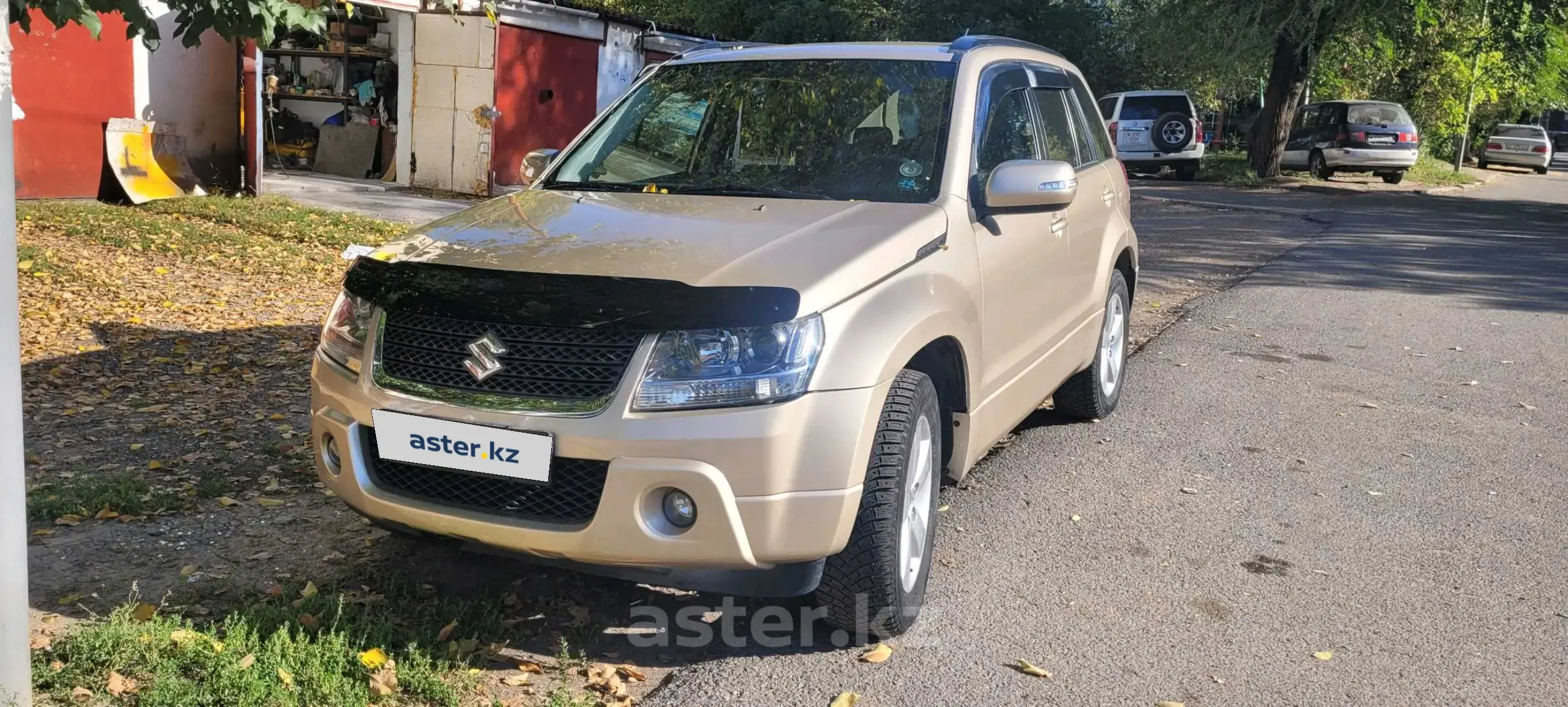 Suzuki Grand Vitara 2009