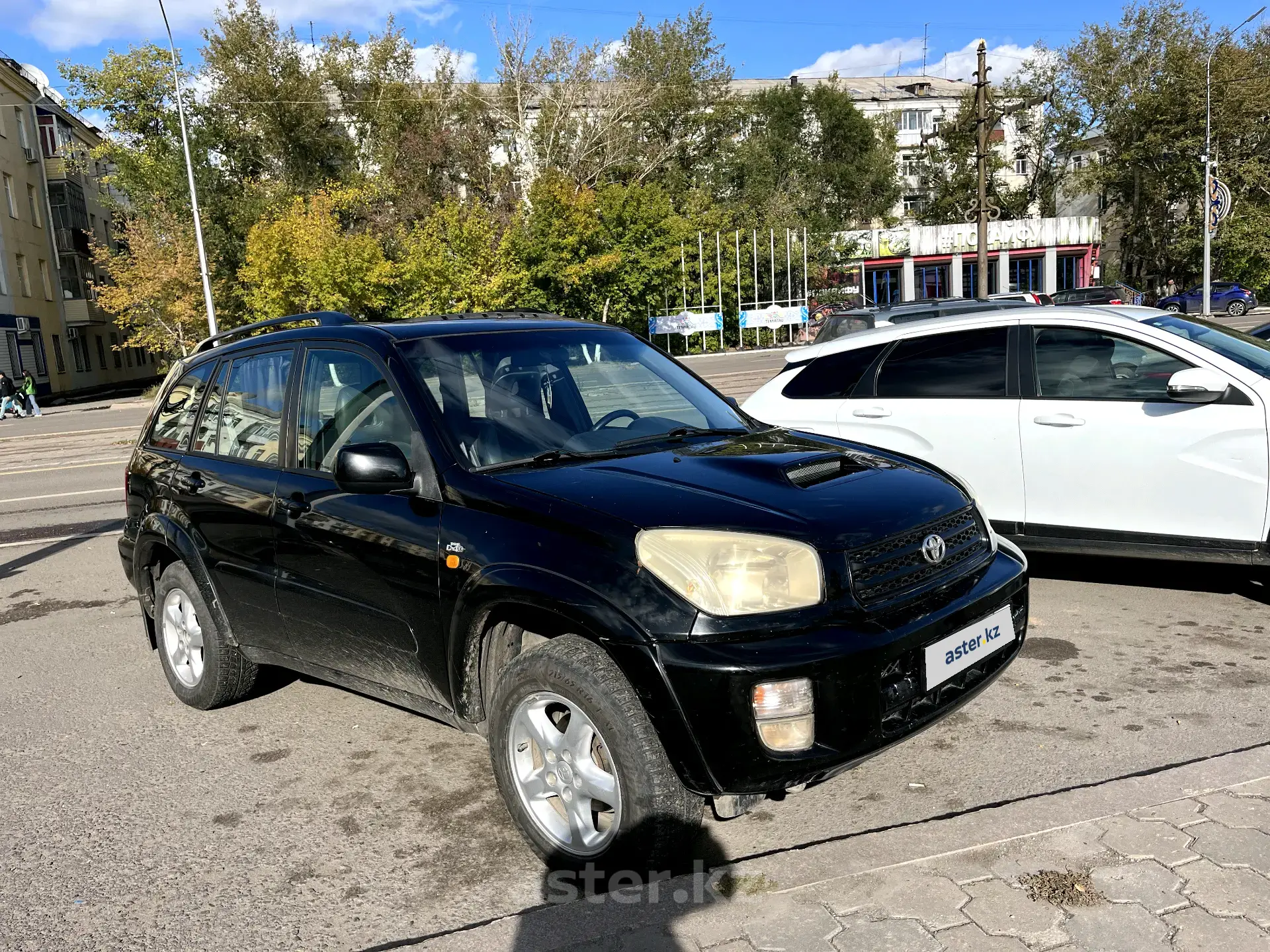 Toyota RAV4 2002