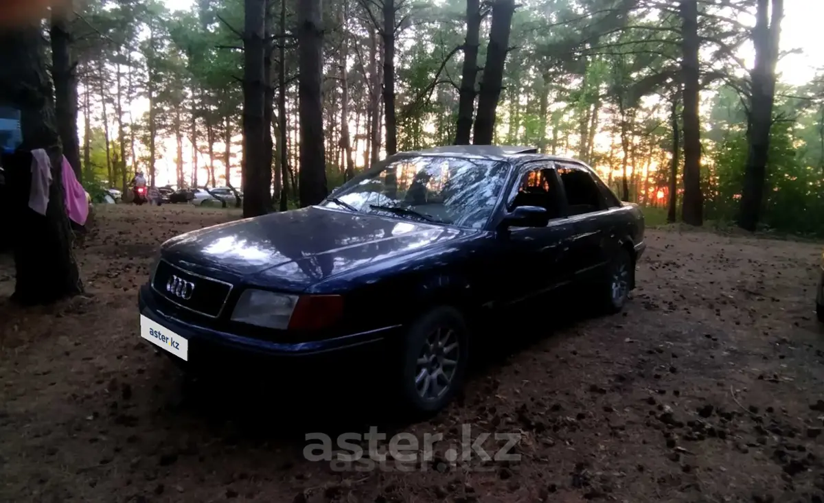 Купить Audi 100 1992 года в Петропавловске, цена 2400000 тенге. Продажа  Audi 100 в Петропавловске - Aster.kz. №c924625