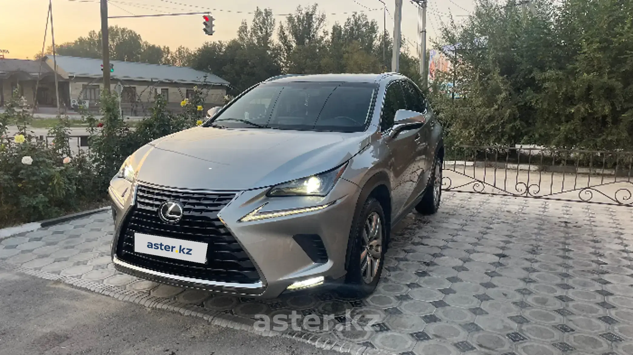 Lexus NX 2019