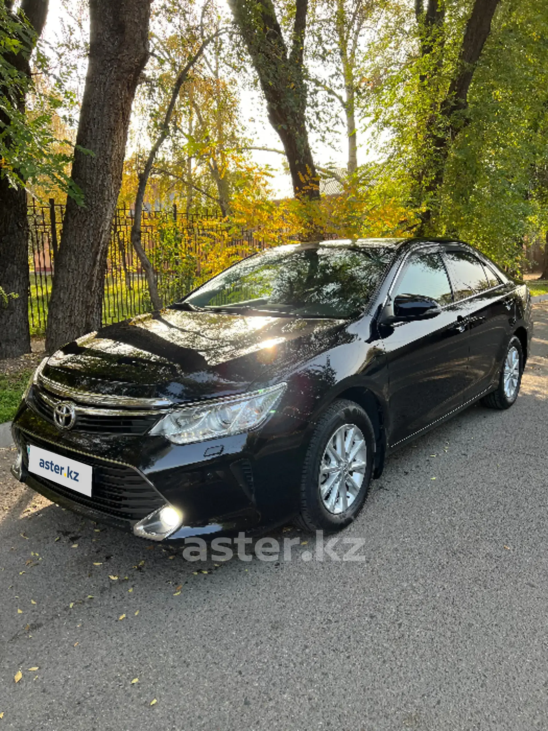 Toyota Camry 2015