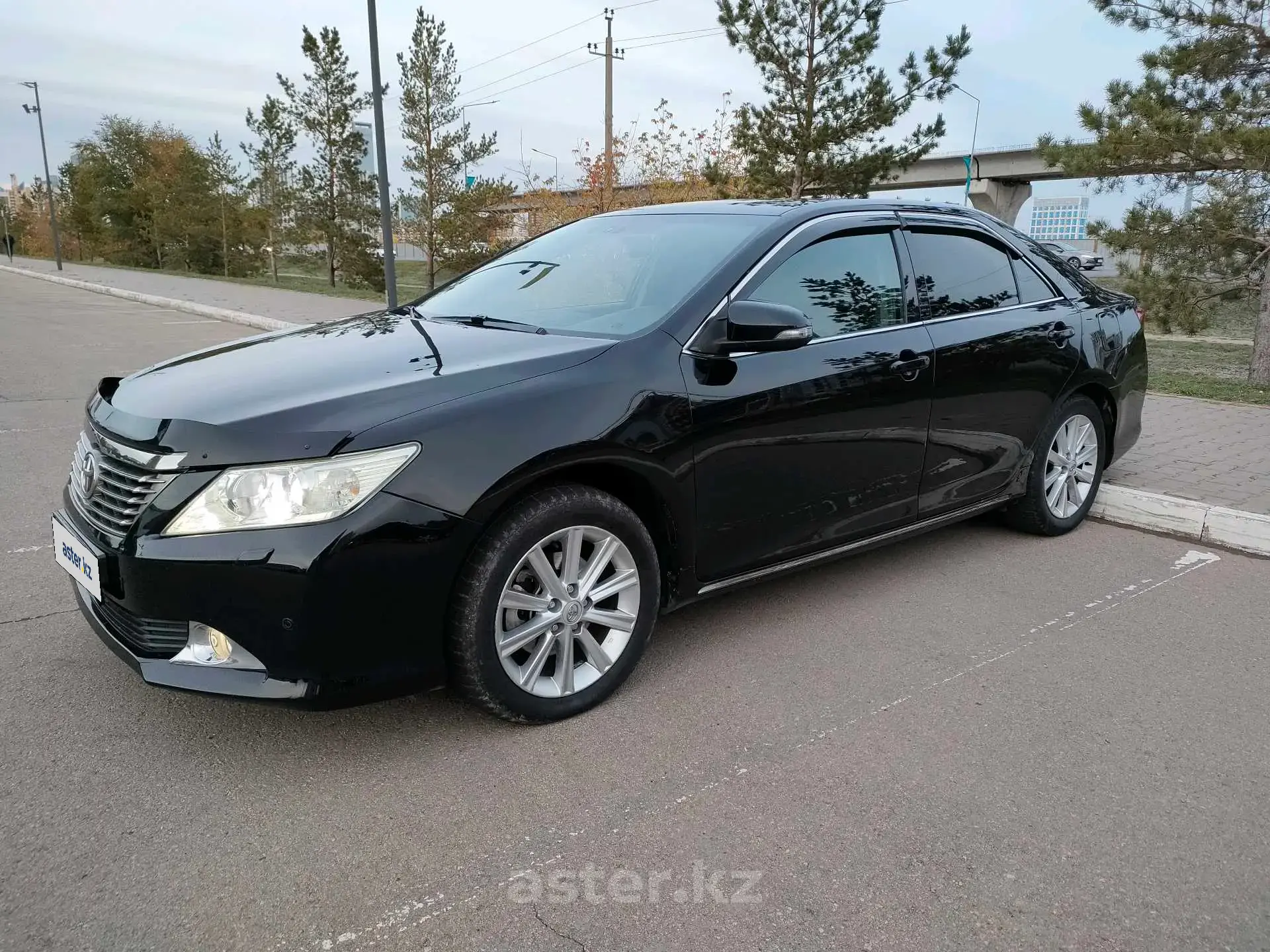 Toyota Camry 2013