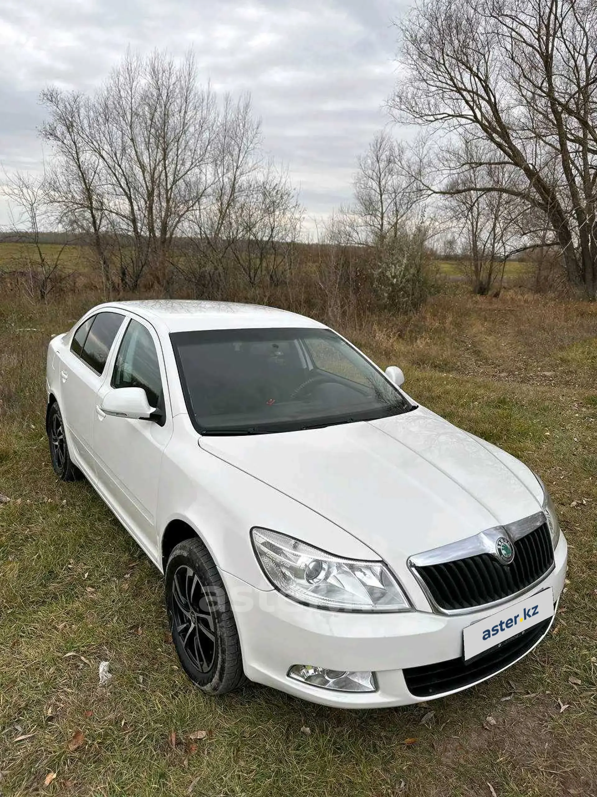 Skoda Octavia 2012