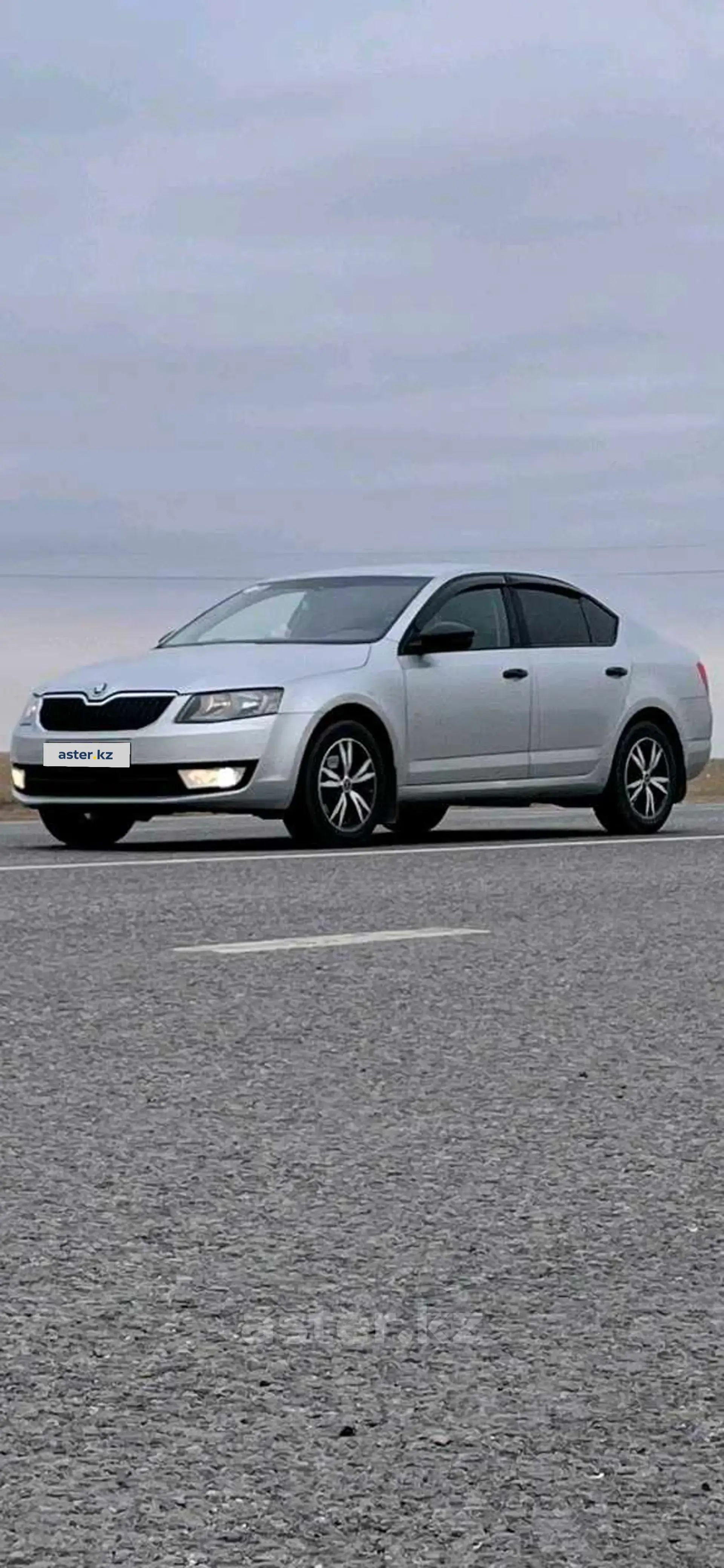 Skoda Octavia 2013