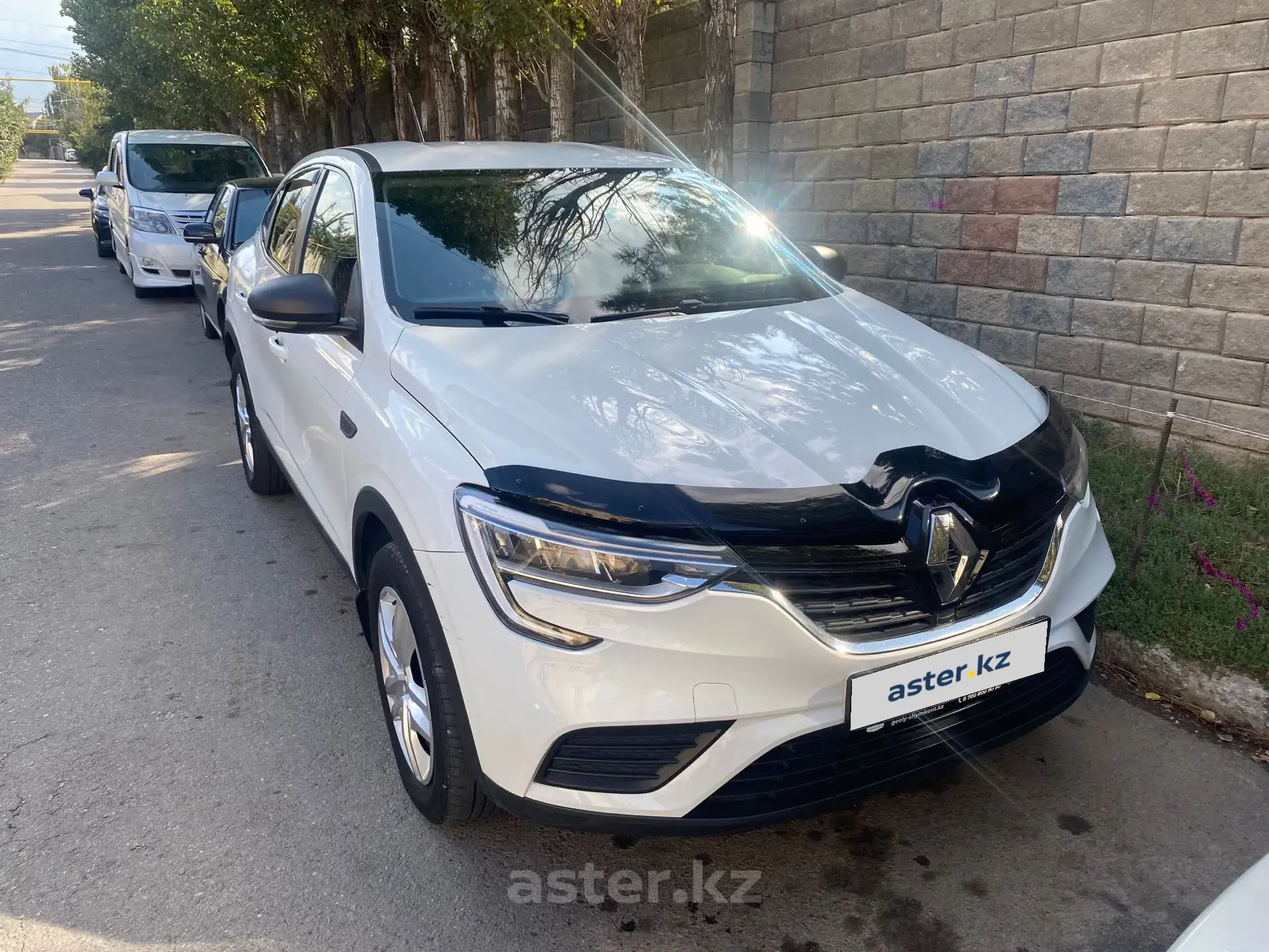 Renault Arkana 2019