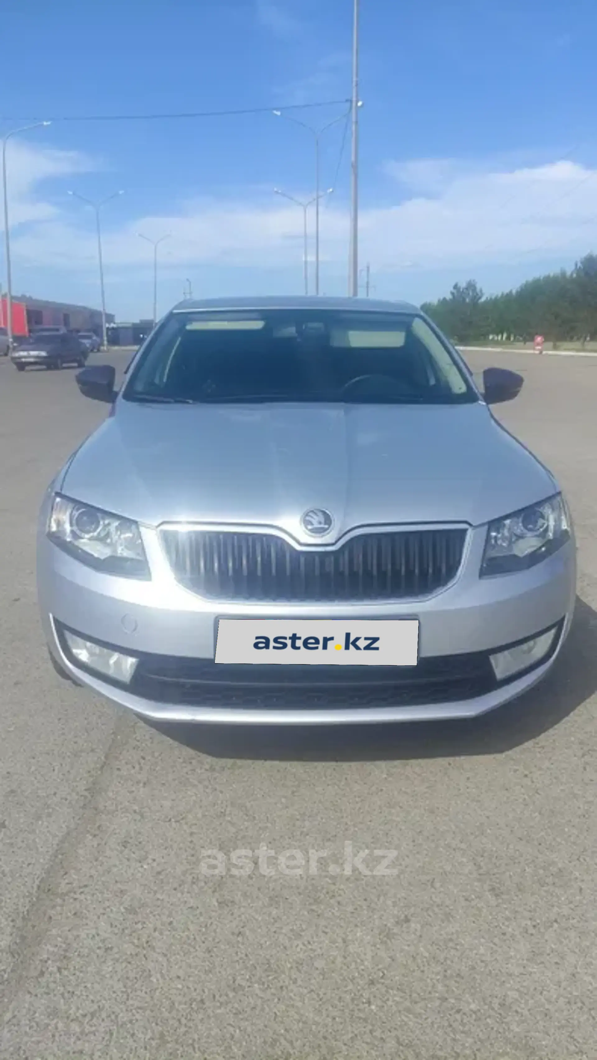 Skoda Octavia 2013