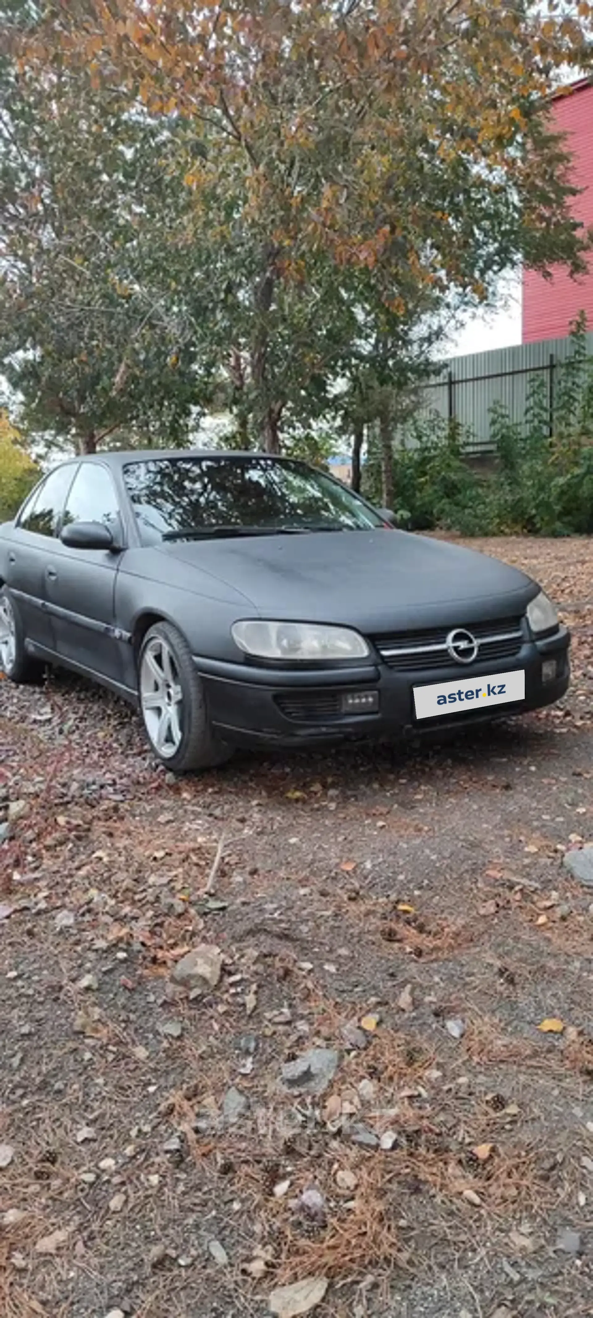 Opel Omega 1996