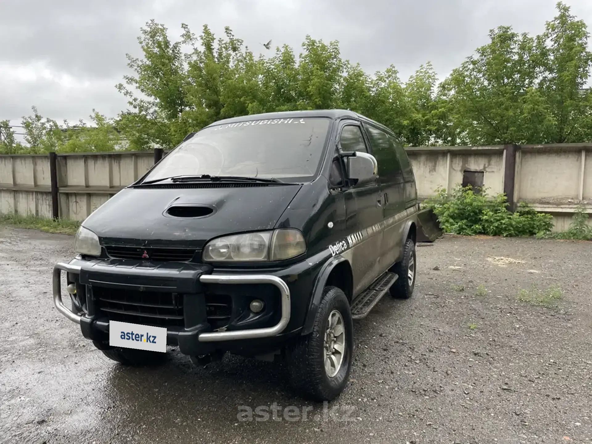 Mitsubishi Delica 1996