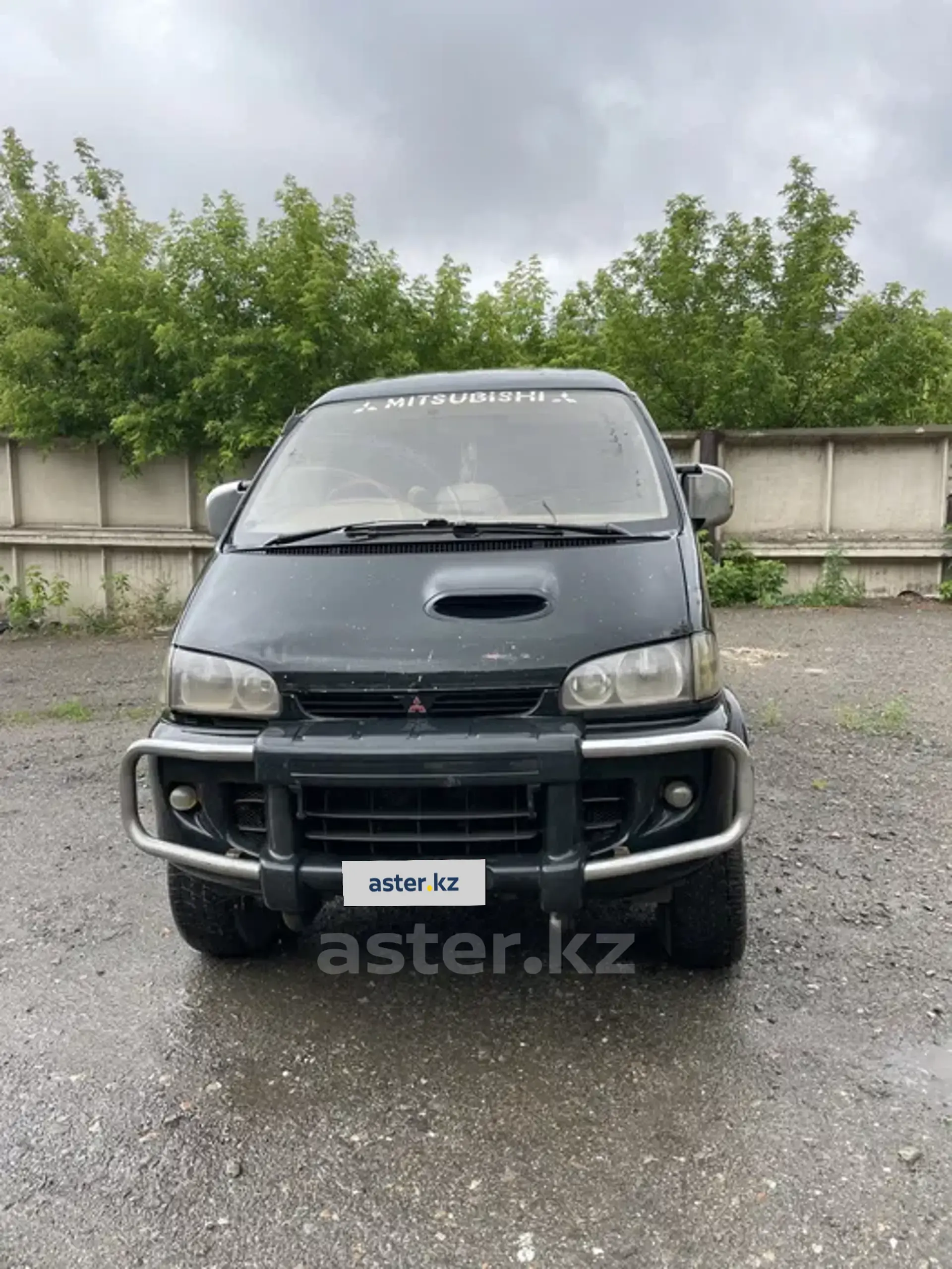 Mitsubishi Delica 1996