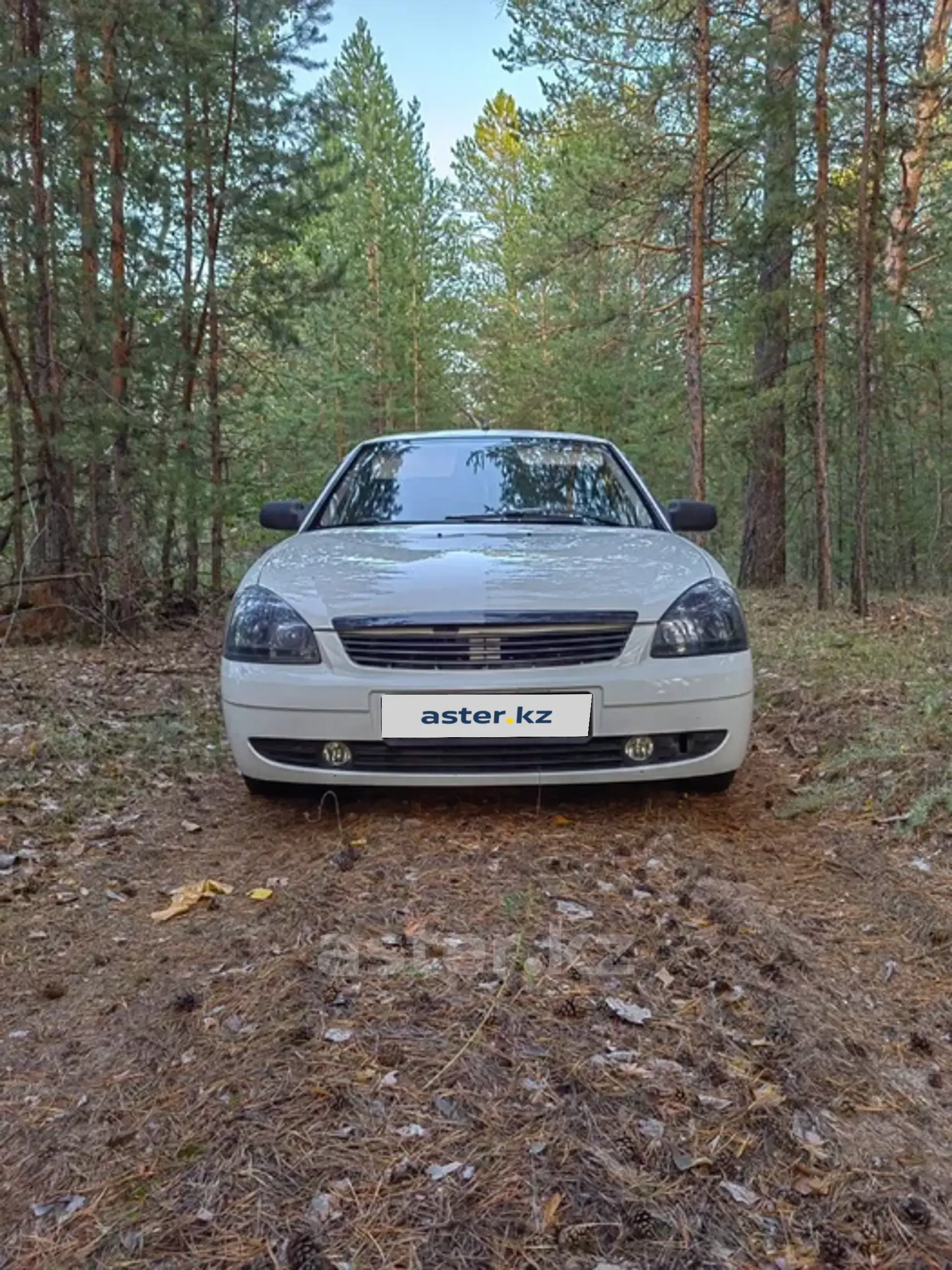 LADA (ВАЗ) Priora 2010