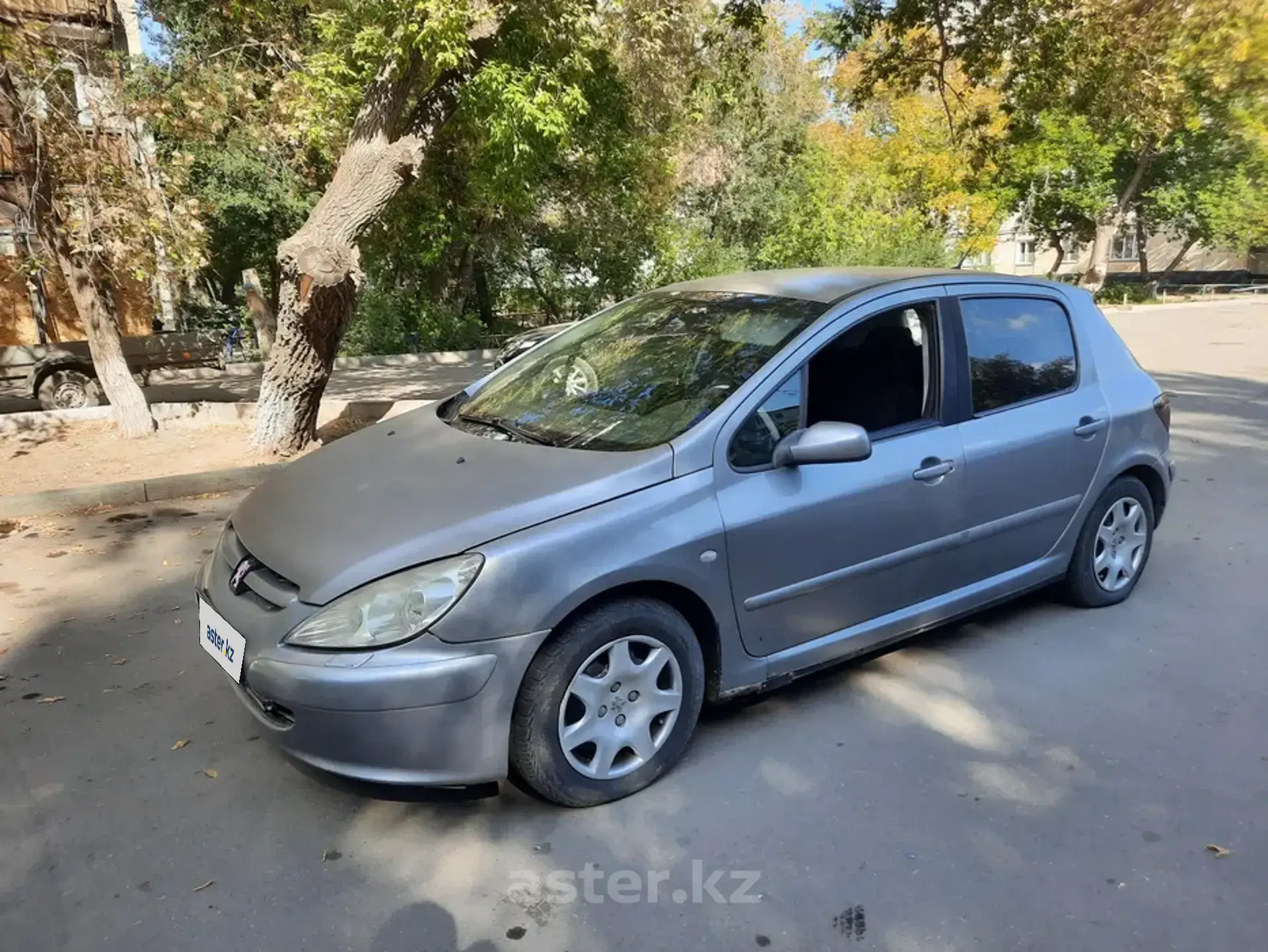 Peugeot 307 2002