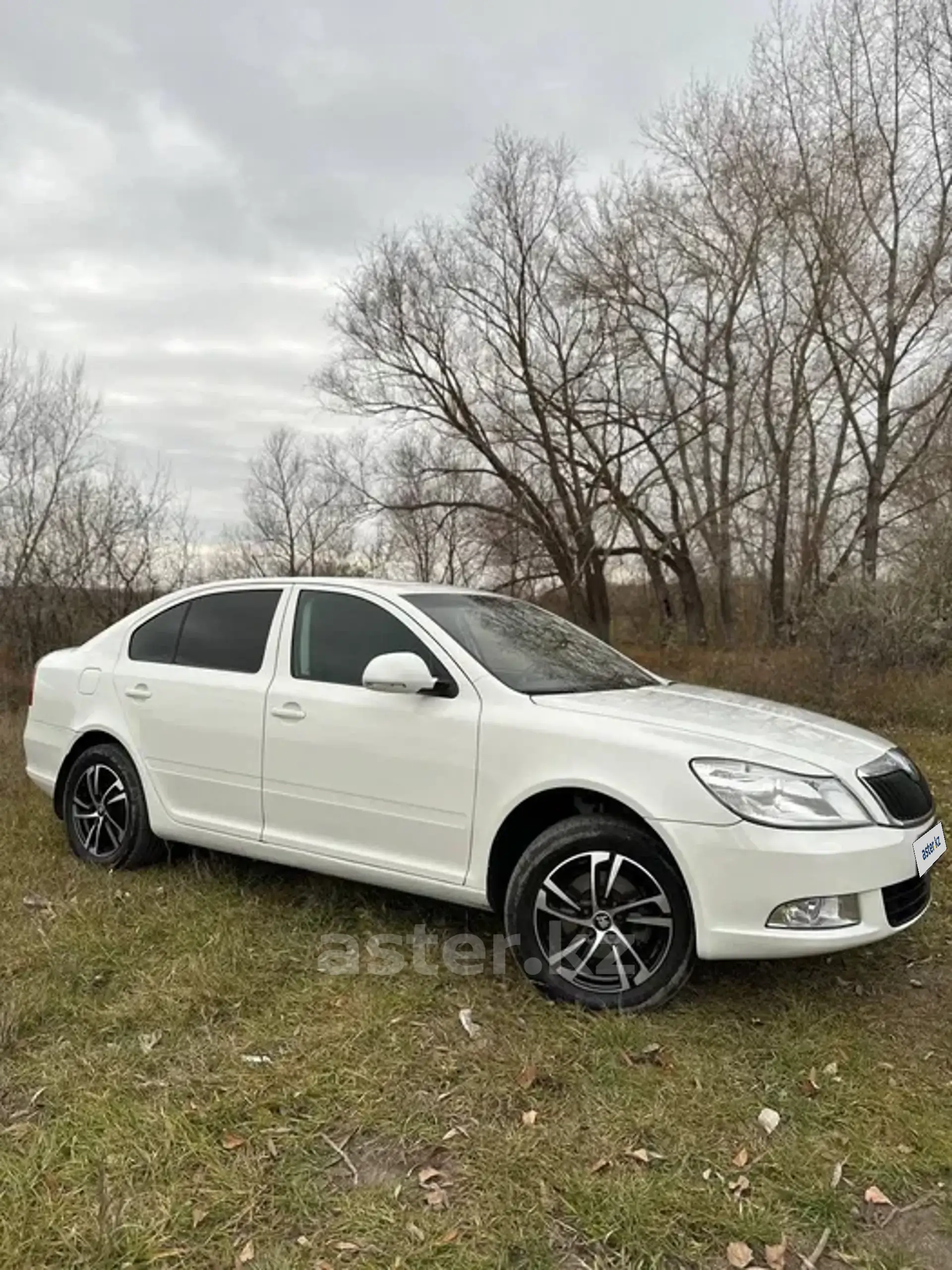 Skoda Octavia 2012