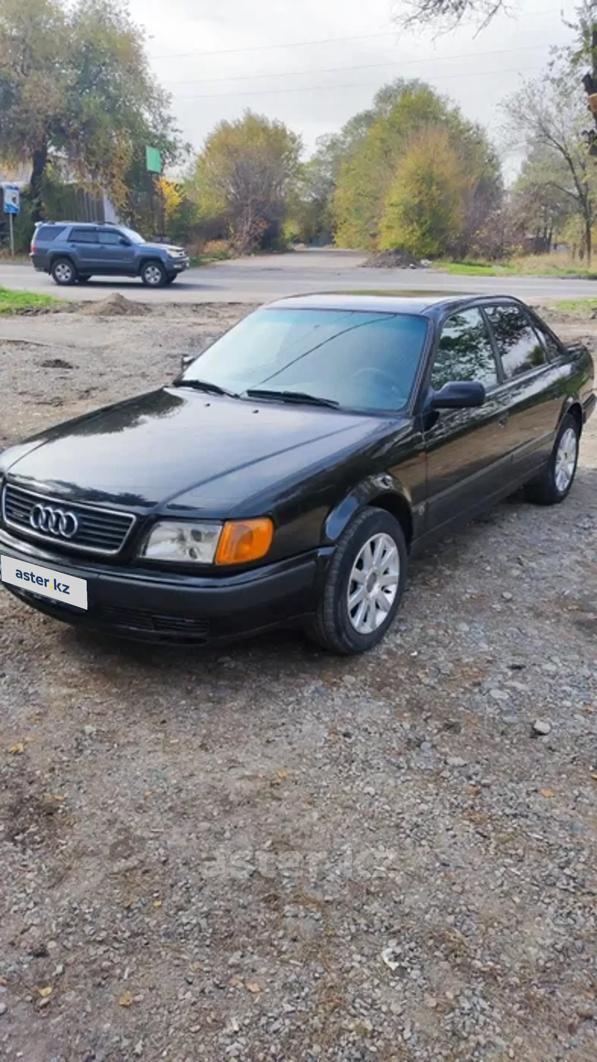 Audi 100 1991