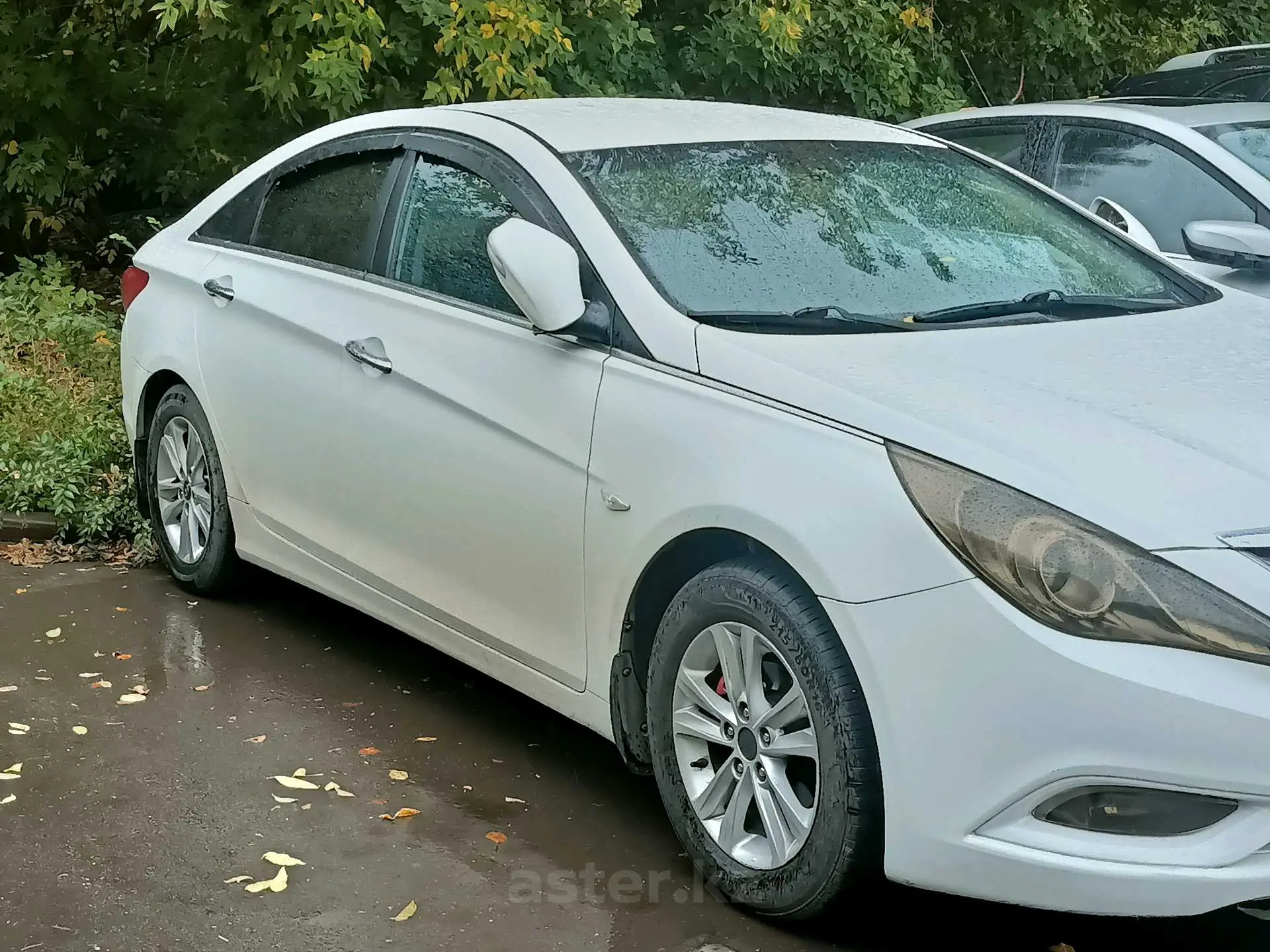 Hyundai Sonata 2010