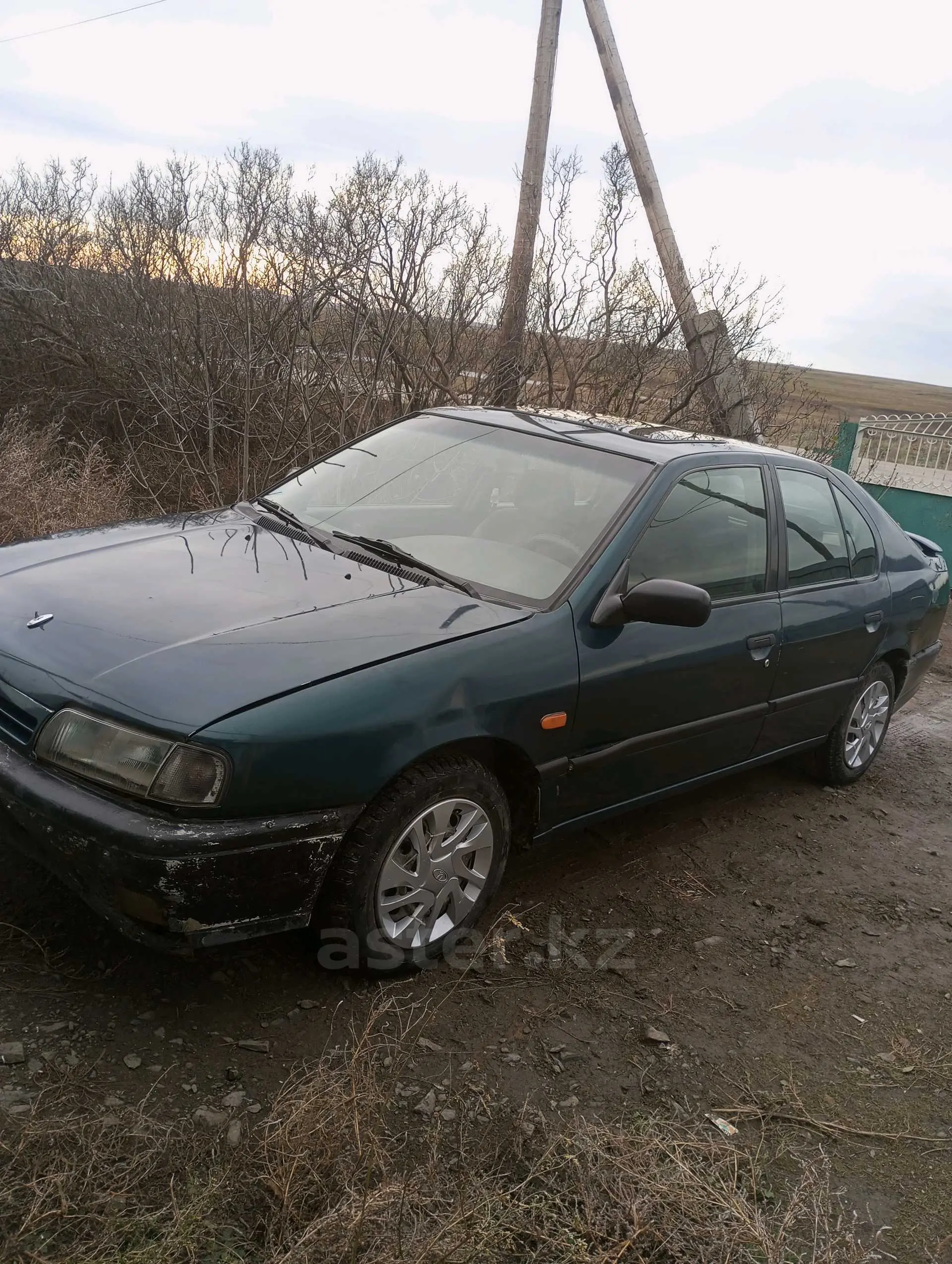 Nissan Primera 1995