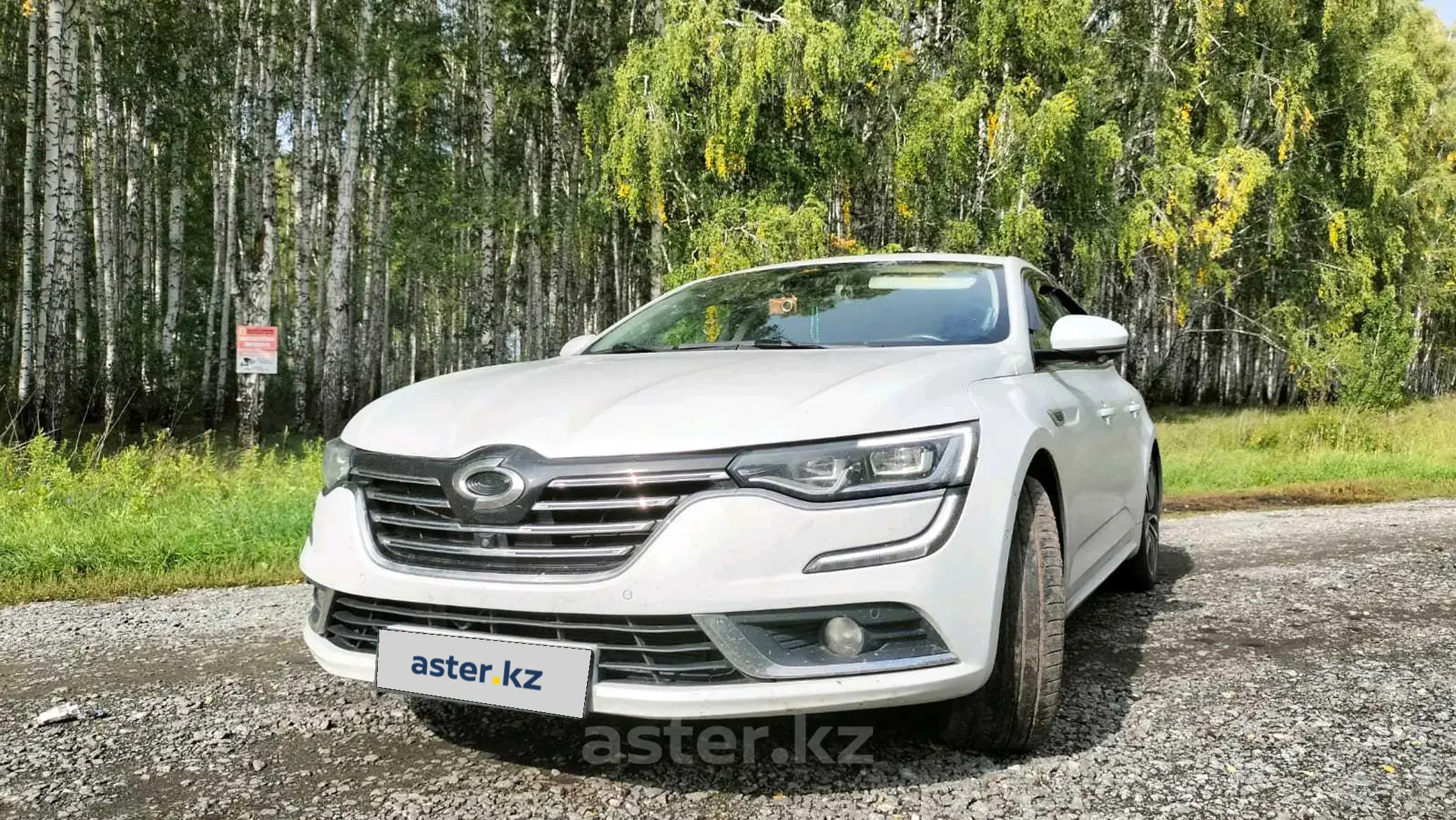 Renault Talisman 2019