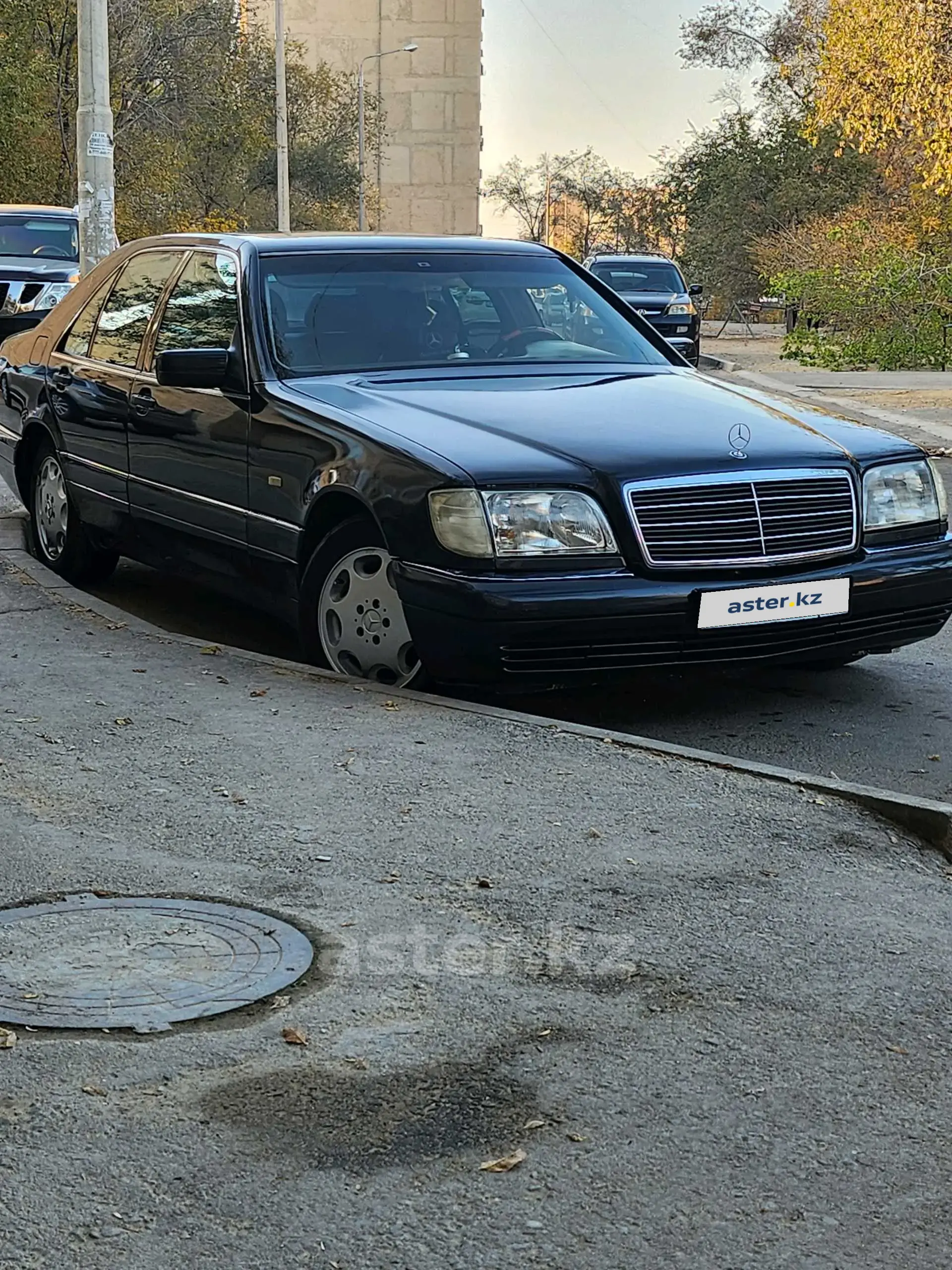 Mercedes-Benz S-Класс 1996