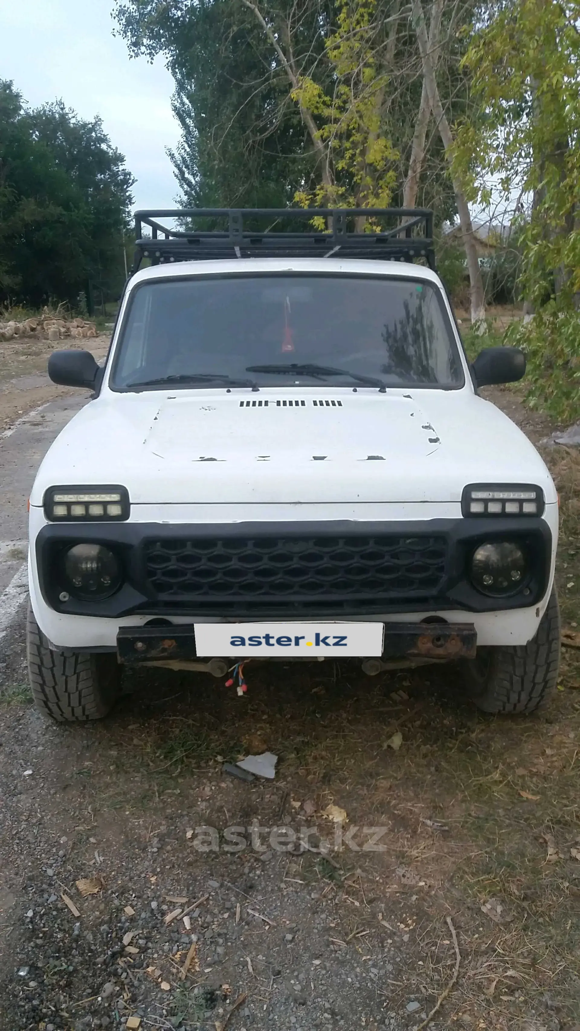 LADA (ВАЗ) 2121 (4x4) 2014