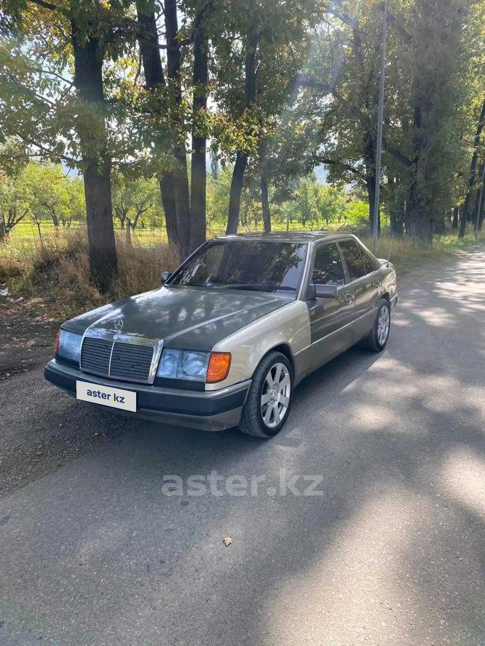 Mercedes-Benz W124 1990