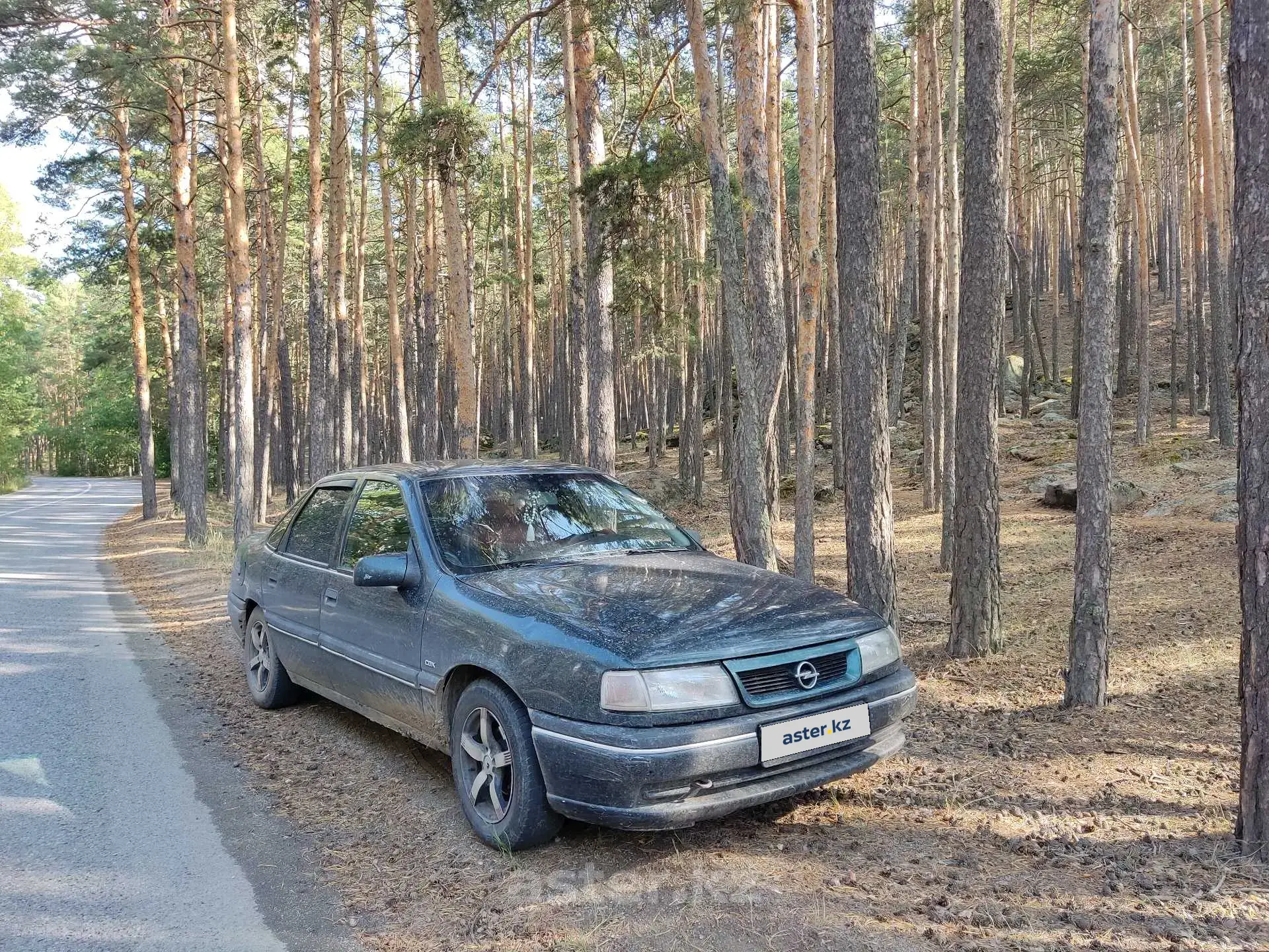 Opel Vectra 1994