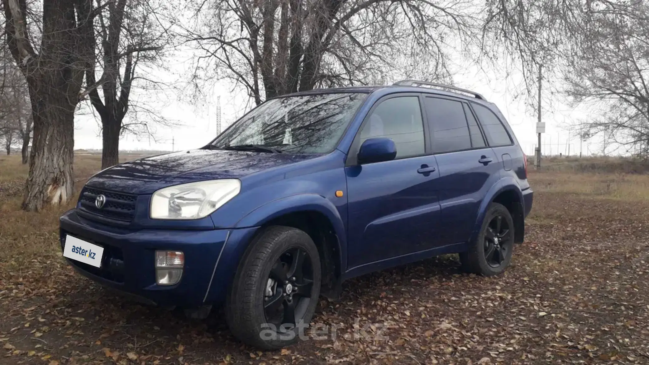 Toyota RAV4 2000