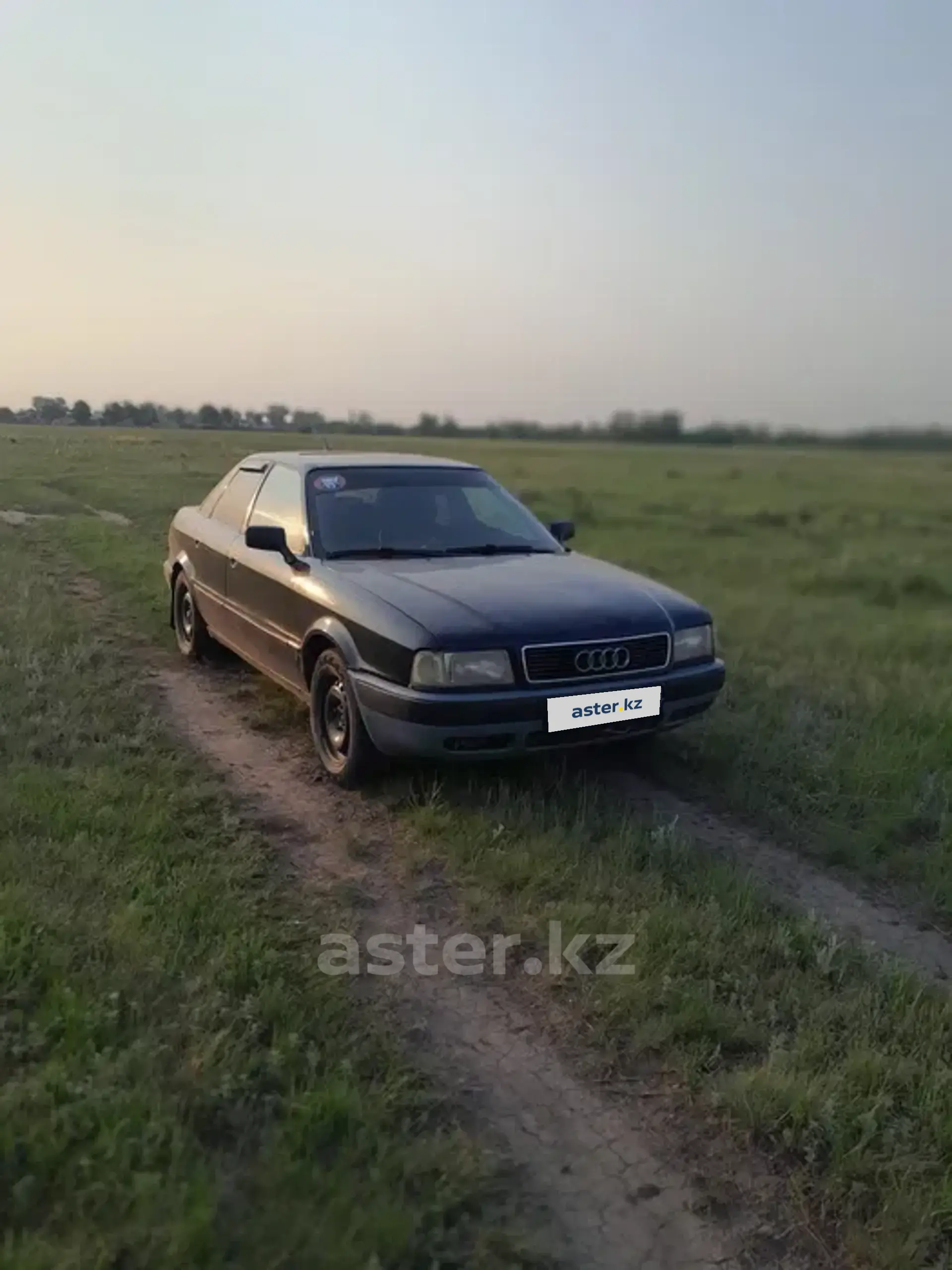 Audi 80 1993