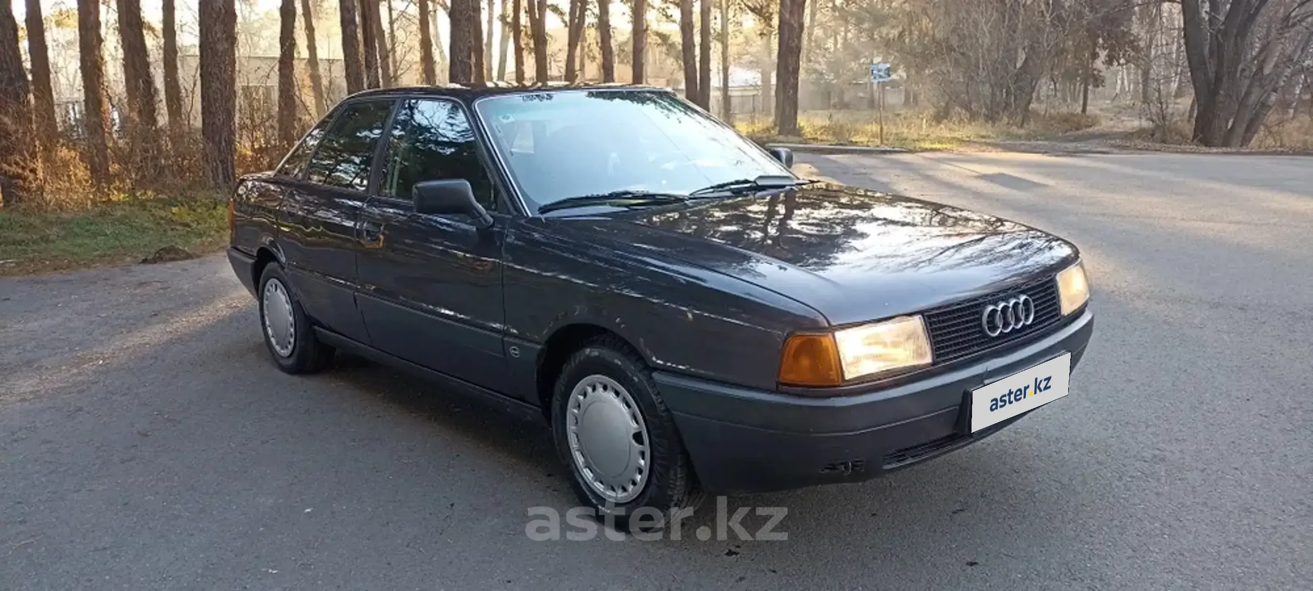 Audi 80 1991