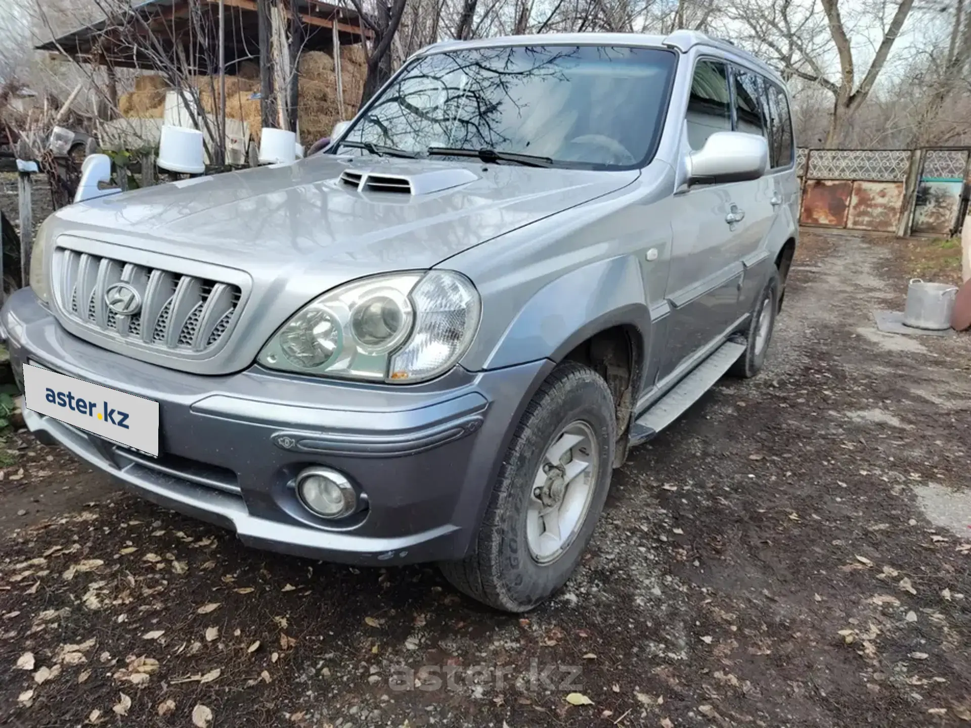 Hyundai Terracan 2002