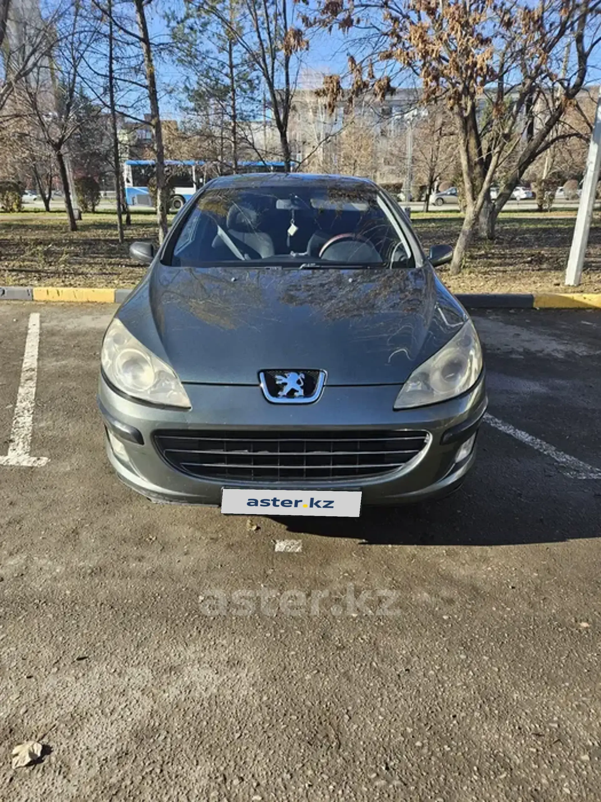 Peugeot 407 2007