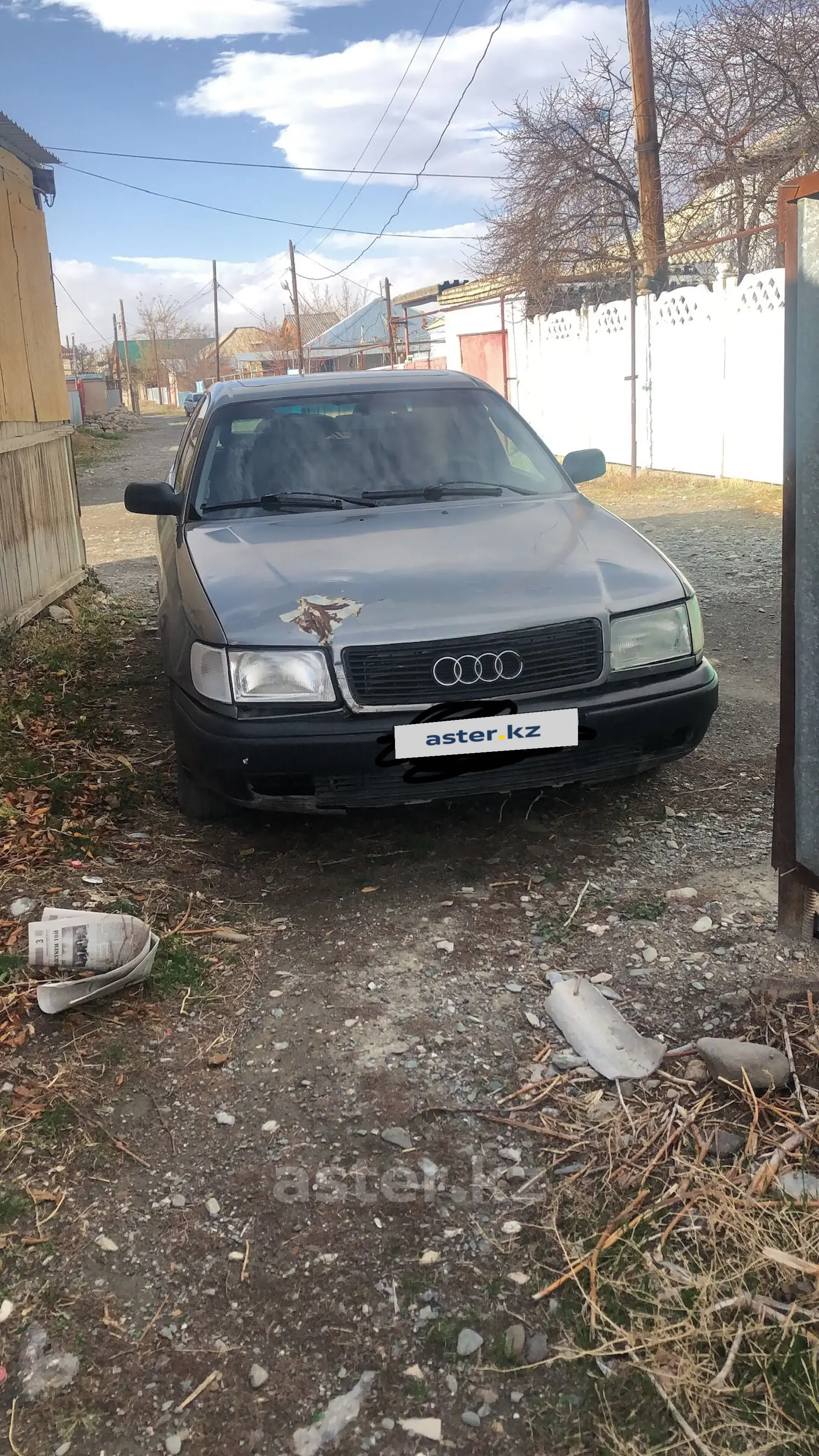 Audi 100 1991