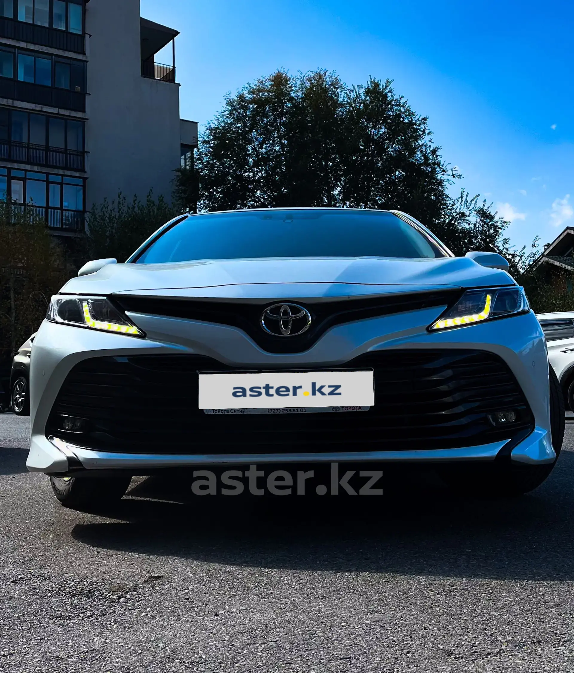 Toyota Camry 2019