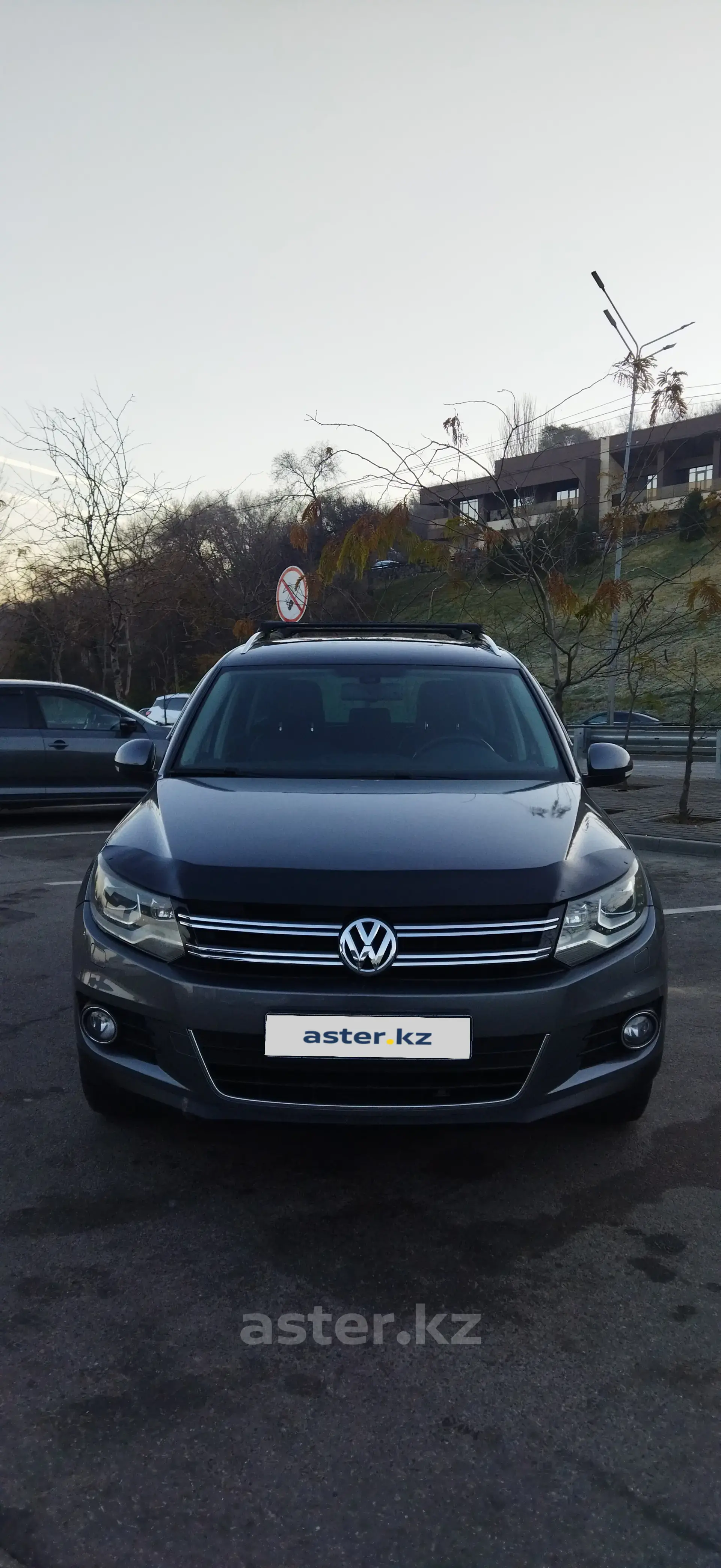 Volkswagen Tiguan 2013